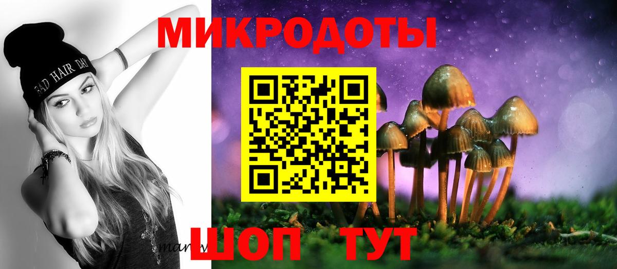 Галлюциногенные грибы прущие грибы Сергиев Посад